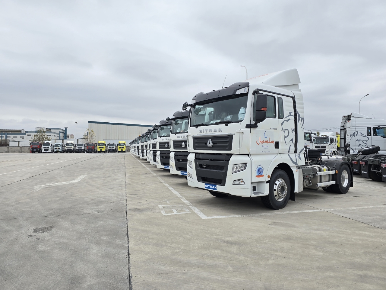 微信图片_20250227040245